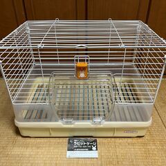 神奈川県のモルモットの中古が安い！激安で譲ります・無料であげます