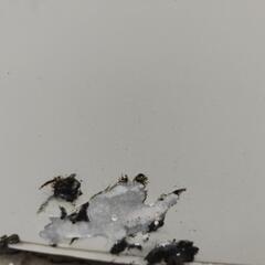 HITACHI 日立 全自動洗濯機 二層式洗濯機 電気 PS-55AS2 