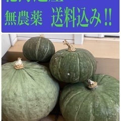 【ネット決済】北海道産かぼちゃ