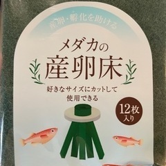 【メダカ飼育用】メダカの産卵床（10個）とメダカうきわ（6個）