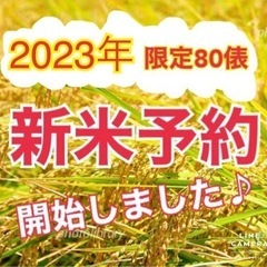 【ネット決済】完売★金賞受賞★ 令和5度年新米　60kg    ...