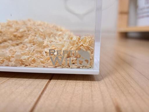 爬虫類ケージ