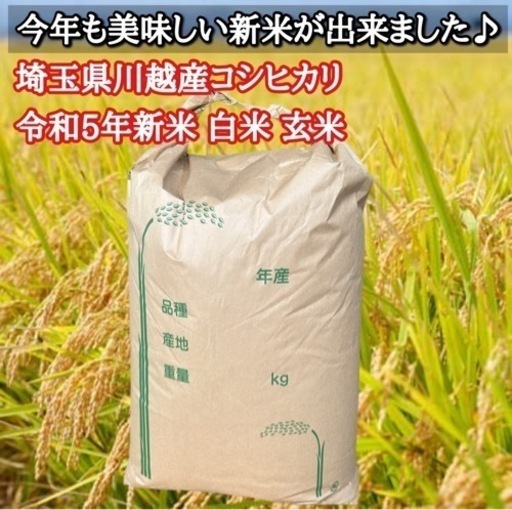 【新米】埼玉県川越産コシヒカリ 30kg 令和5年 白米 玄米(15km圏内無料配達可)②