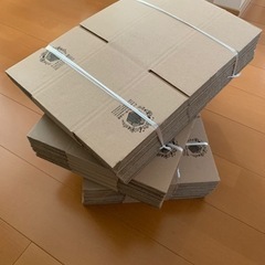 【受け渡し者決定】60 80 100 サイズのダンボール　詰め紙