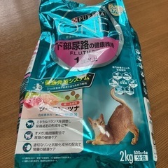 ピュリナワン 猫  1.6kg✖︎4  おまけ付き