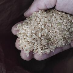 玄米 令和4年産 30キロ