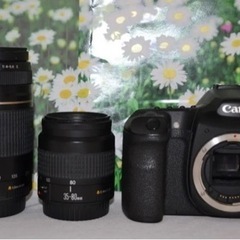 ❤Canon Eos 30D❤キャノン デジタル一眼レフ❤ダブルレンズ❤望遠❤