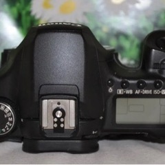 ❤Canon Eos 30D❤キャノン デジタル一眼レフ❤ダブルレンズ❤望遠❤