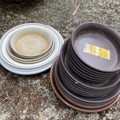 鉢皿サイズ色々