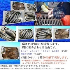 魚の町　宮崎門川伝統の味　干物3箱セット