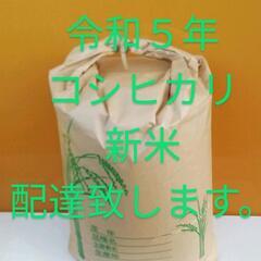 コシヒカリ　こしひかり　令和５年 新米　玄米　30kg　配達致し...