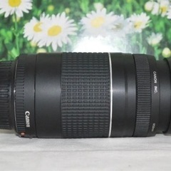 新品級★ラスト一点★望遠レンズ☆美品☆キャノン　Canon EF 75-300mm