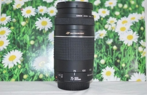 新品級★ラスト一点★望遠レンズ☆美品☆キャノン　Canon EF 75-300mm