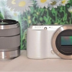 ❤美品❤即日発送❤️SONY NEX-C3 標準レンズキット シルバー 人気❤ 美品即日発送️SONY NEX-C3 標準レンズキット シルバー 人気 ❤美品❤