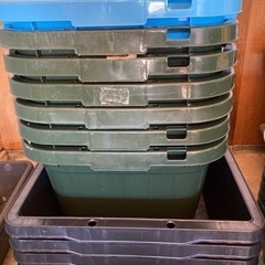 メダカ飼育容器中古！