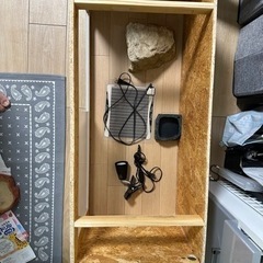 爬虫類 飼育セット フトアゴ