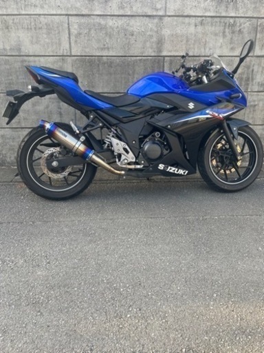 その他 SUZUKI GSX250R