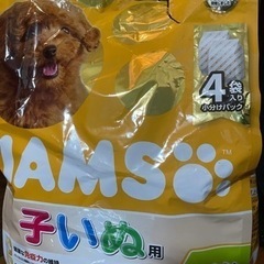 IAMS ドッグフード