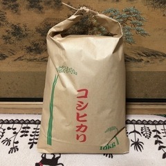 栃木県産コシヒカリ 玄米10キロ