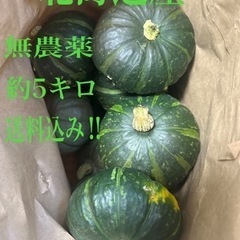 【ネット決済】北海道産かぼちゃ(無農薬)※値下げ交渉有り