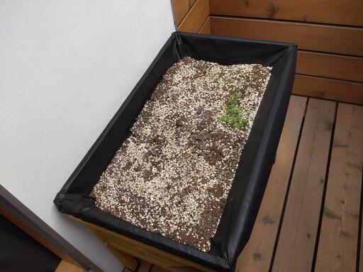 ベジトラグ　家庭菜園　ベランダ菜園