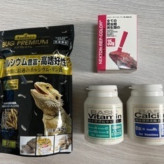 爬虫類ガラスケージ飼育セット付』\