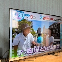 ※急募【43型】液晶テレビ