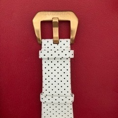 国内正規品 CTスクーデリア 腕時計 イタリア