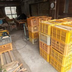 薪ストーブ用の良く乾燥した薪