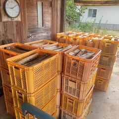 薪ストーブ用の良く乾燥した薪