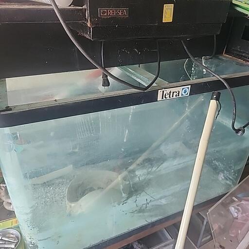 テトラ製大型水槽