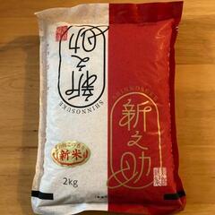 新之助  2kg