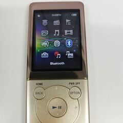 【ネット決済・配送可】SONY ウォークマン NW-S775/16GB