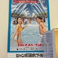 長島ジャンボ海水プール入場券　長島スパーランド入場券　大人2枚セ...