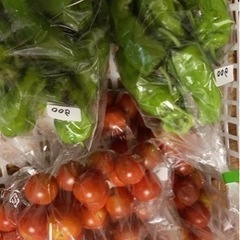 自然農法お野菜マルシェ - フリーマーケット