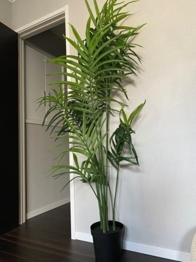 IKEA FEJKA フェイカ 人工観葉植物, 室内/屋外用 ケンチャヤシ