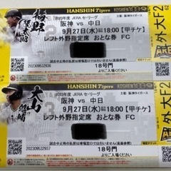 甲子園　公式戦チケット　※営利目的ではありません！