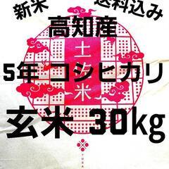 【ネット決済・配送可】ネット決算③ 令和5年産 高知県産 新米コ...