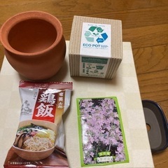 ６点　まとめて　１００円　鶏飯　植木鉢　タイムの種　エコポット
