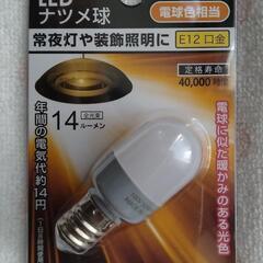 LEDナツメ球 常夜灯 0.2ｗ 口金E12
