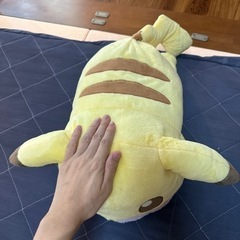 55cm ポケットモンスター ピカチュウ ぬいぐるみ きみにむち...