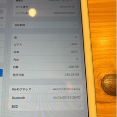 9月中値下げ！iPadmini第5世代 256GB