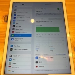 9月中値下げ！iPadmini第5世代 256GB