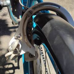 Khoda Bloom Asson24 定価49500