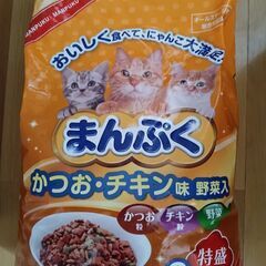 コーナン まんぷく 子猫から成猫用 エサ 8kg