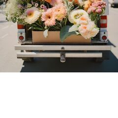 軽トラっ特！たまにわ花屋が港北区樽町ブックオフで秋の花を安く販売↓￥2023年10月14日土曜日	 - 横浜市