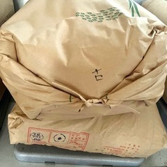 『取引中』古米　1袋(30kg) 令和3年度　コシヒカリ