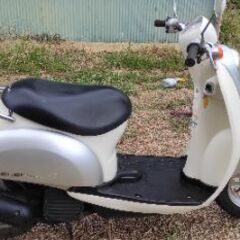 scoopy50CC