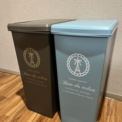 スライドペール 45L ゴミ箱 ふた付き 2個セットは