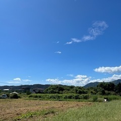 要予約！橋本駅送迎バスあり！芋掘りに行こう！ − 神奈川県